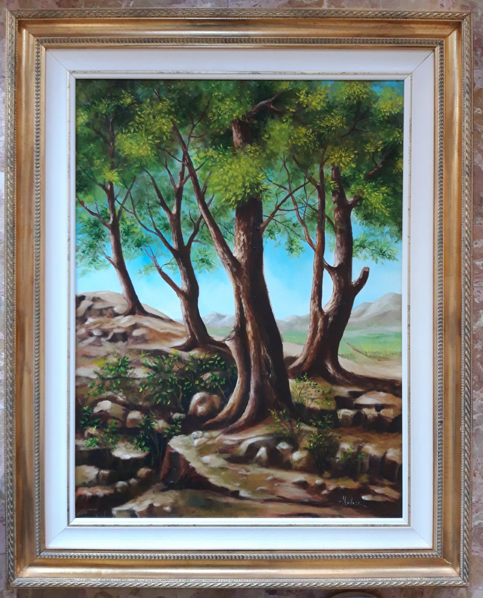 Paesaggio-con-alberi-secolari-Aly-Mohsen "Quadro di Ay Mohsen realizzato ad Olio con pennello. Il titolo è Paesaggio con alberi secolari e rientra nella categoria Paesaggi. In Paesaggio con alberi secolari, Aly Mohsen interpreta un ambiente naturale dominato dalla presenza di alberi maturi, profondamente radicati in un terreno roccioso e luminoso. I tronchi robusti, modellati con attenzione volumetrica, si elevano verso chiome verdi e dense che si stagliano contro un cielo terso, costruendo una composizione equilibrata e stabile, improntata a silenzio e armonia. La scena si sviluppa secondo una struttura verticale scandita dagli alberi, che guidano lo sguardo attraverso il primo piano fino al paesaggio collinare sullo sfondo. Il terreno irregolare, reso attraverso variazioni cromatiche e materiche, suggerisce una natura autentica e vissuta, rafforzando il senso di solidità e permanenza. La pennellata è fluida e controllata, capace di restituire con sensibilità le modulazioni della luce tra le foglie, le ombre proiettate sul suolo e la profondità spaziale dell’insieme. La tavolozza alterna i toni caldi della terra ai verdi intensi della vegetazione, in un equilibrio cromatico che trasmette continuità e naturalezza. La pittura paesaggistica di Mohsen si distingue per l’assenza di elementi narrativi superflui, lasciando che siano la struttura del paesaggio e il rapporto tra luce, materia e forma a costruire il significato dell’opera. Il risultato è un’immagine contemplativa, in cui il tempo sembra rallentare. La cornice dorata, elegante e classica, valorizza l’opera e ne sottolinea il carattere decorativo, accompagnando la composizione senza sovrastarla e conferendole una presenza equilibrata e raffinata. Paesaggio con alberi secolari si inserisce pienamente nella produzione paesaggistica di Aly Mohsen come opera di solido equilibrio formale e forte coerenza espressiva, capace di trasmettere un profondo senso di stabilità e connessione con la natura."